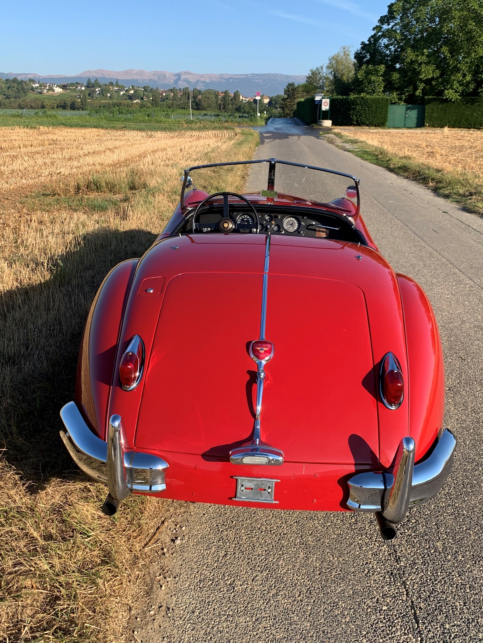 JAGUAR XK140 Roadster-image-5