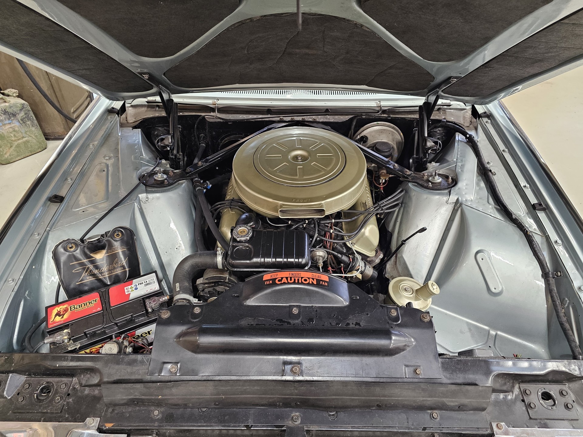 FORD Thunderbird-image-8
