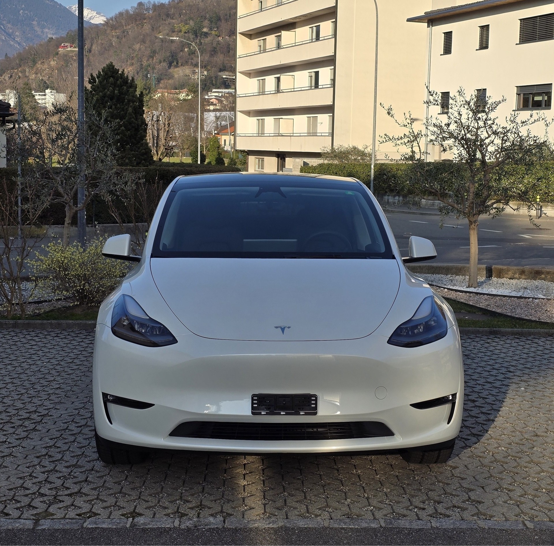 TESLA Model Y Long Range-showroom-element-1
