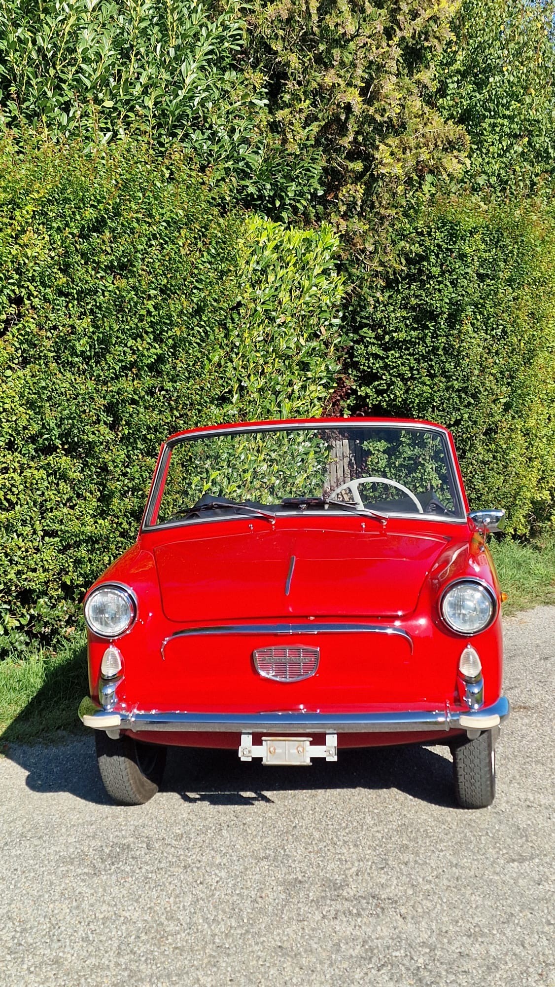 AUTOBIANCHI BIANCHINA-image-3