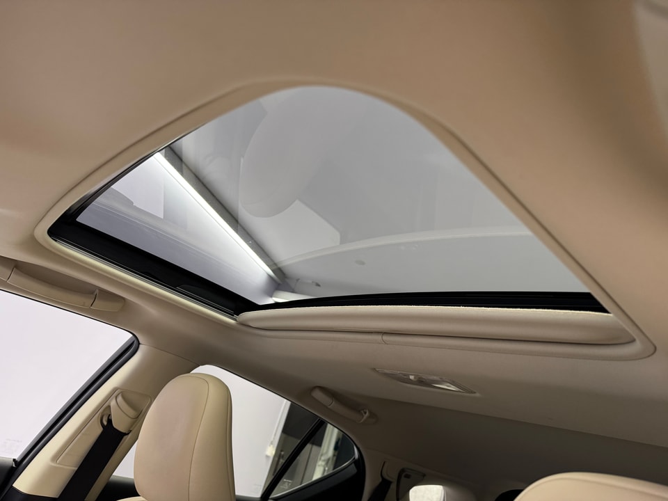 CT 200h Excellence Voll-Hybrid