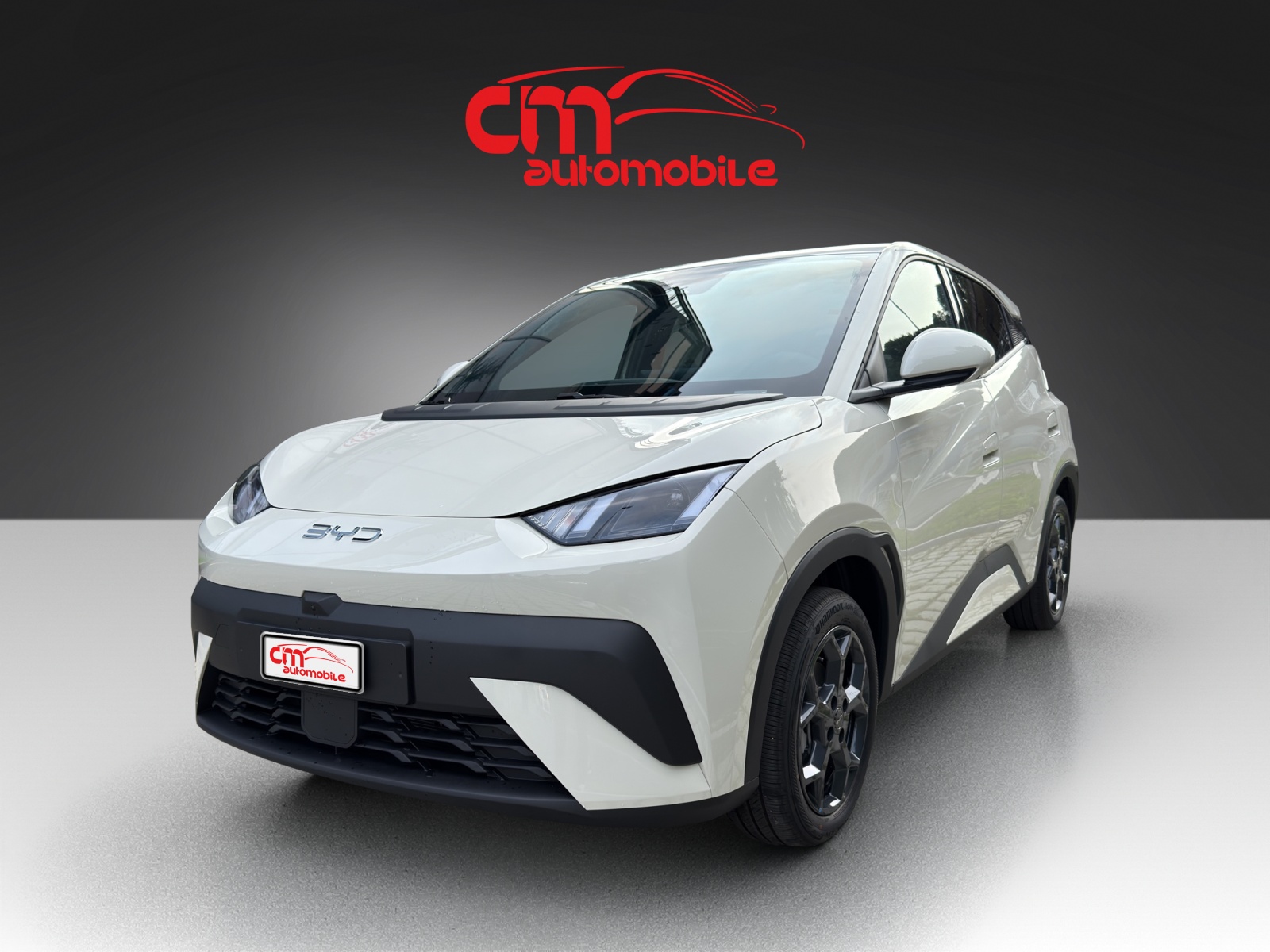 BYD Dolphin Surf 43 kWh Comfort