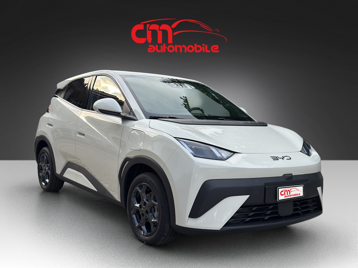 BYD Dolphin Surf 43 kWh Comfort-showroom-element-3
