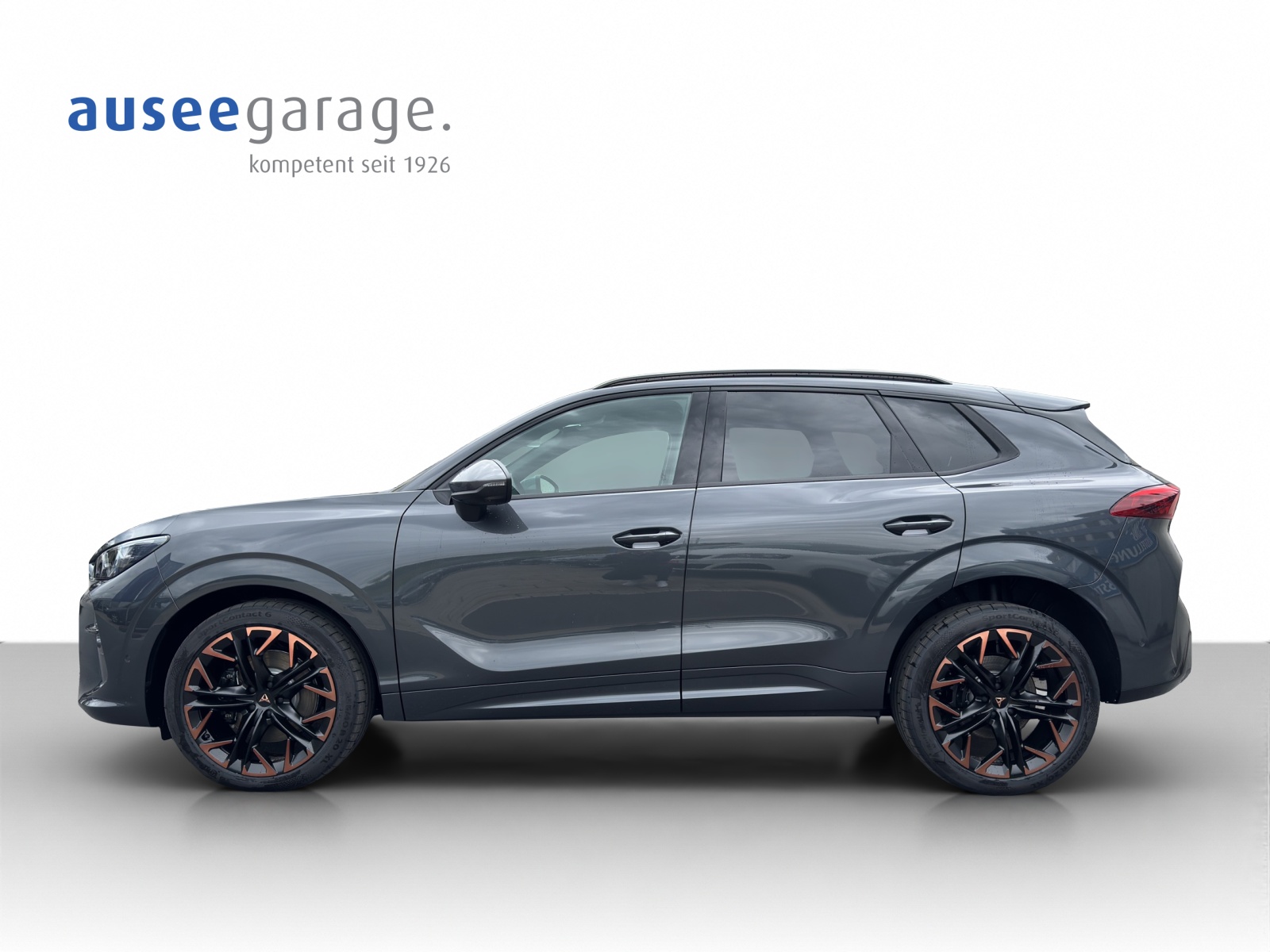 CUPRA Terramar 2.0 TSI DSG 4Drive VZ-showroom-element-1