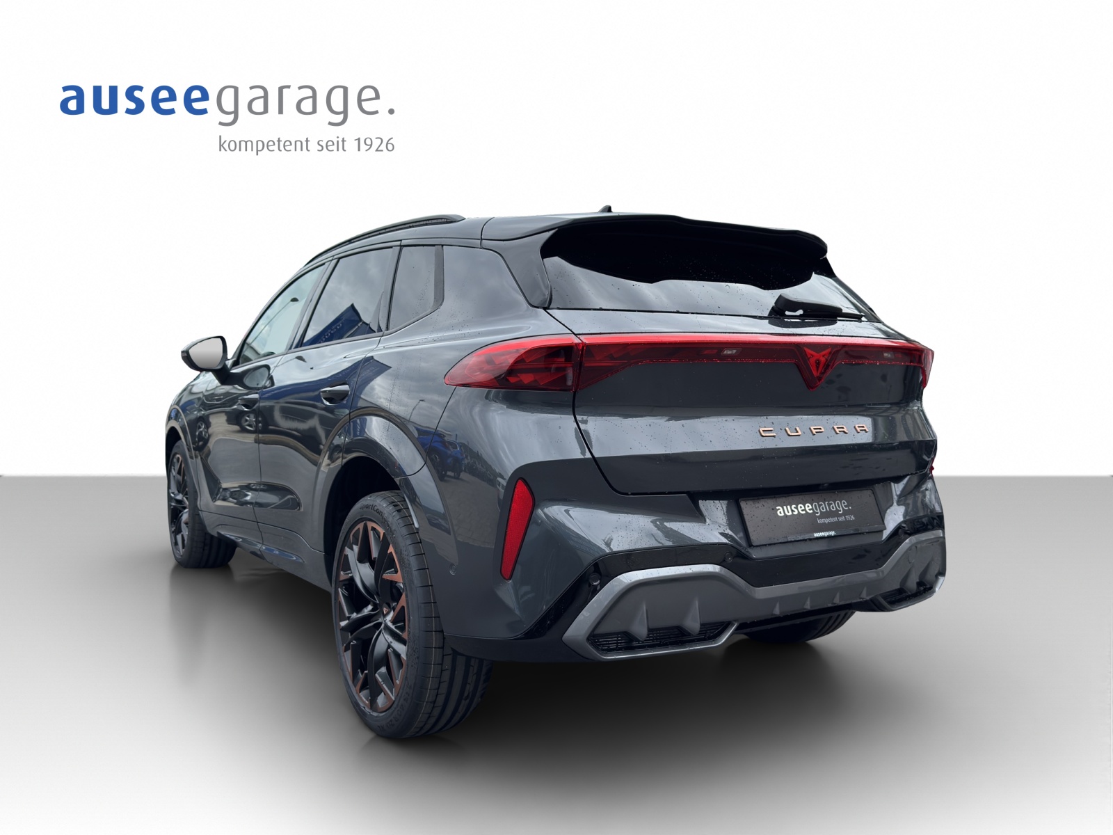 CUPRA Terramar 2.0 TSI DSG 4Drive VZ-showroom-element-2
