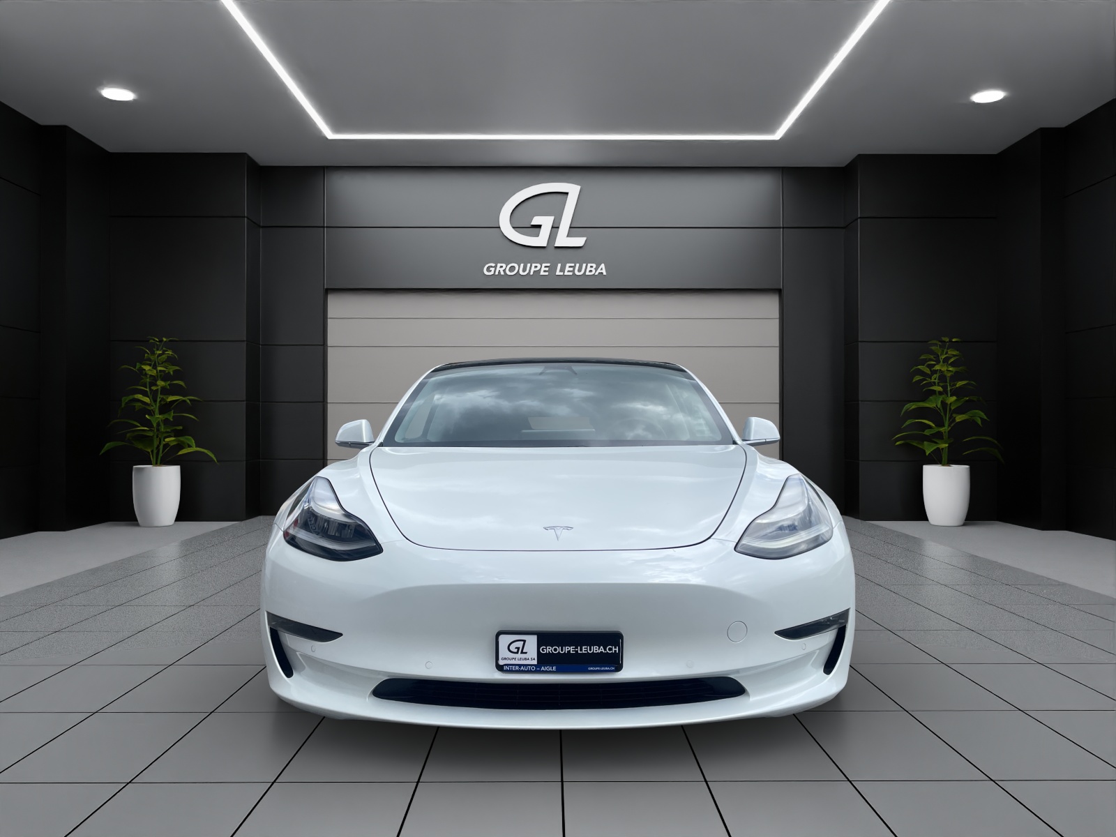 TESLA Model 3 Performance Dual AWD-showroom-element-1