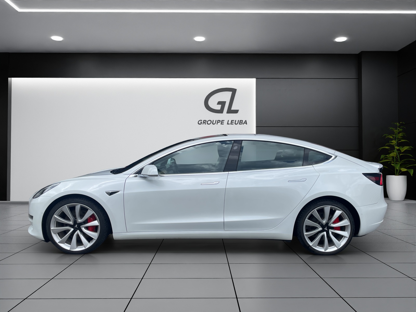 TESLA Model 3 Performance Dual AWD-showroom-element-2