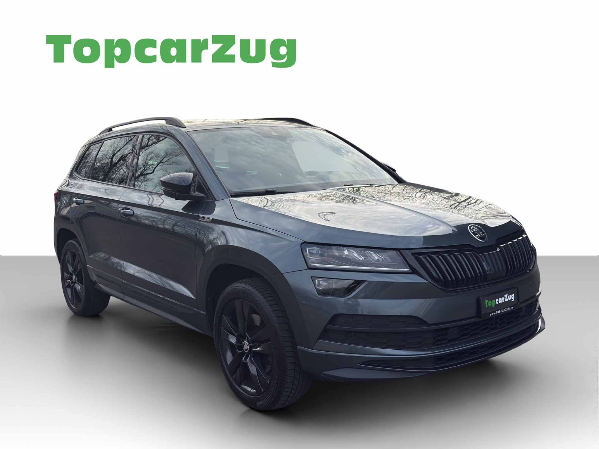 SKODA Karoq 2.0 (SUV / GelÃ¤ndewagen)