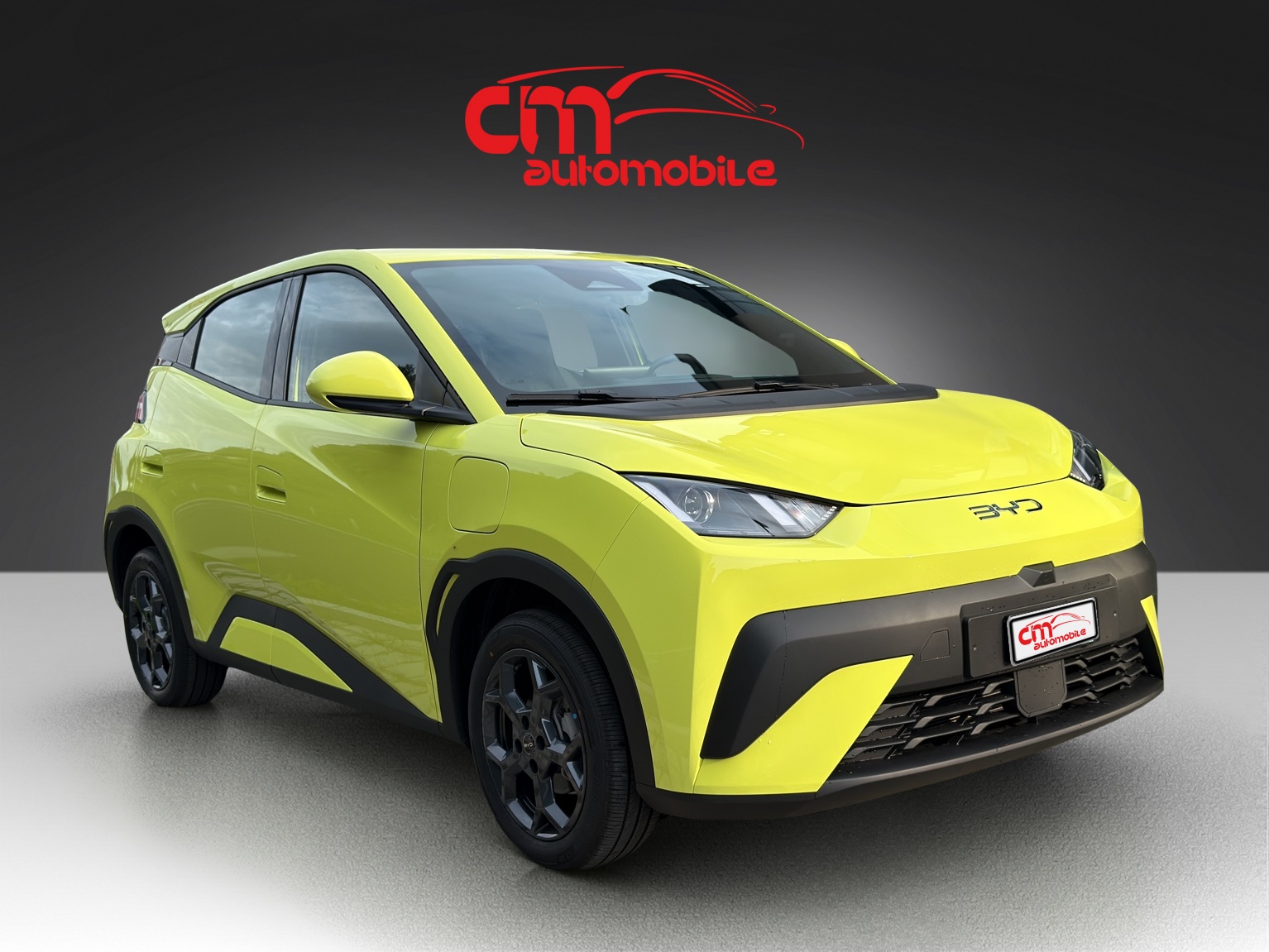 BYD Dolphin Surf 43 kWh Boost-showroom-element-3