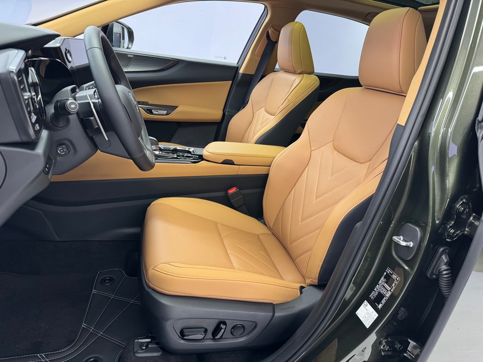 NX 450h+ Excellence E-FOUR Plug-in-Hybrid