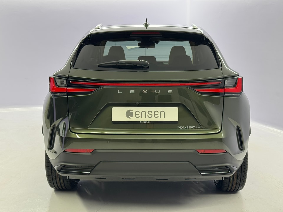 NX 450h+ Excellence E-FOUR Plug-in-Hybrid