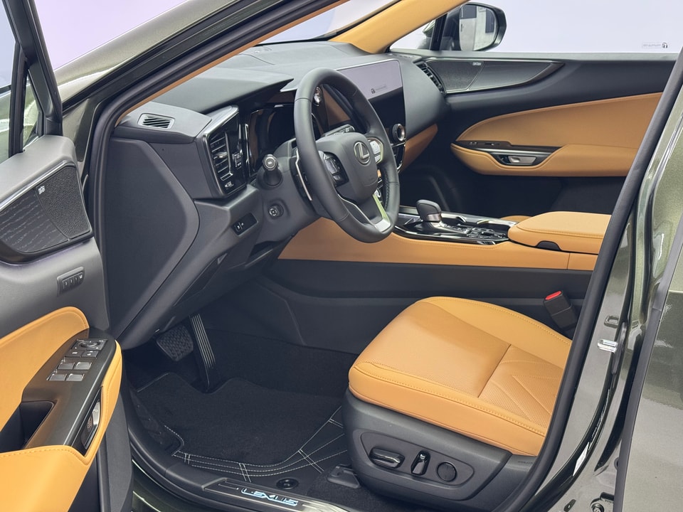 NX 450h+ Excellence E-FOUR Plug-in-Hybrid