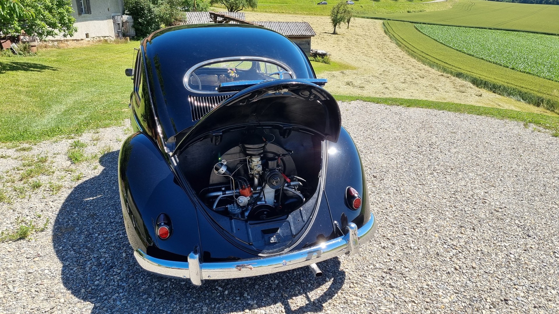 VW Käfer 1954-image-8