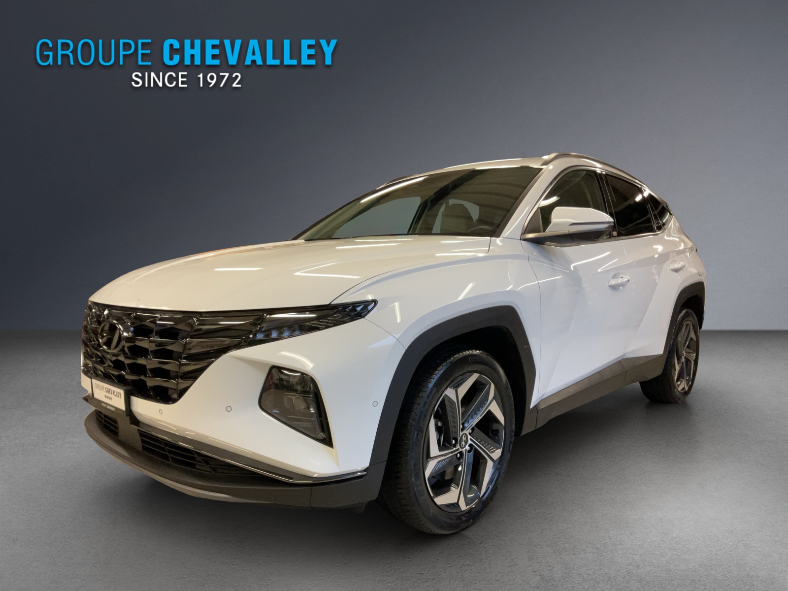 Photo HYUNDAI TUCSON Tucson 1.6 HEV Vertex 4WD