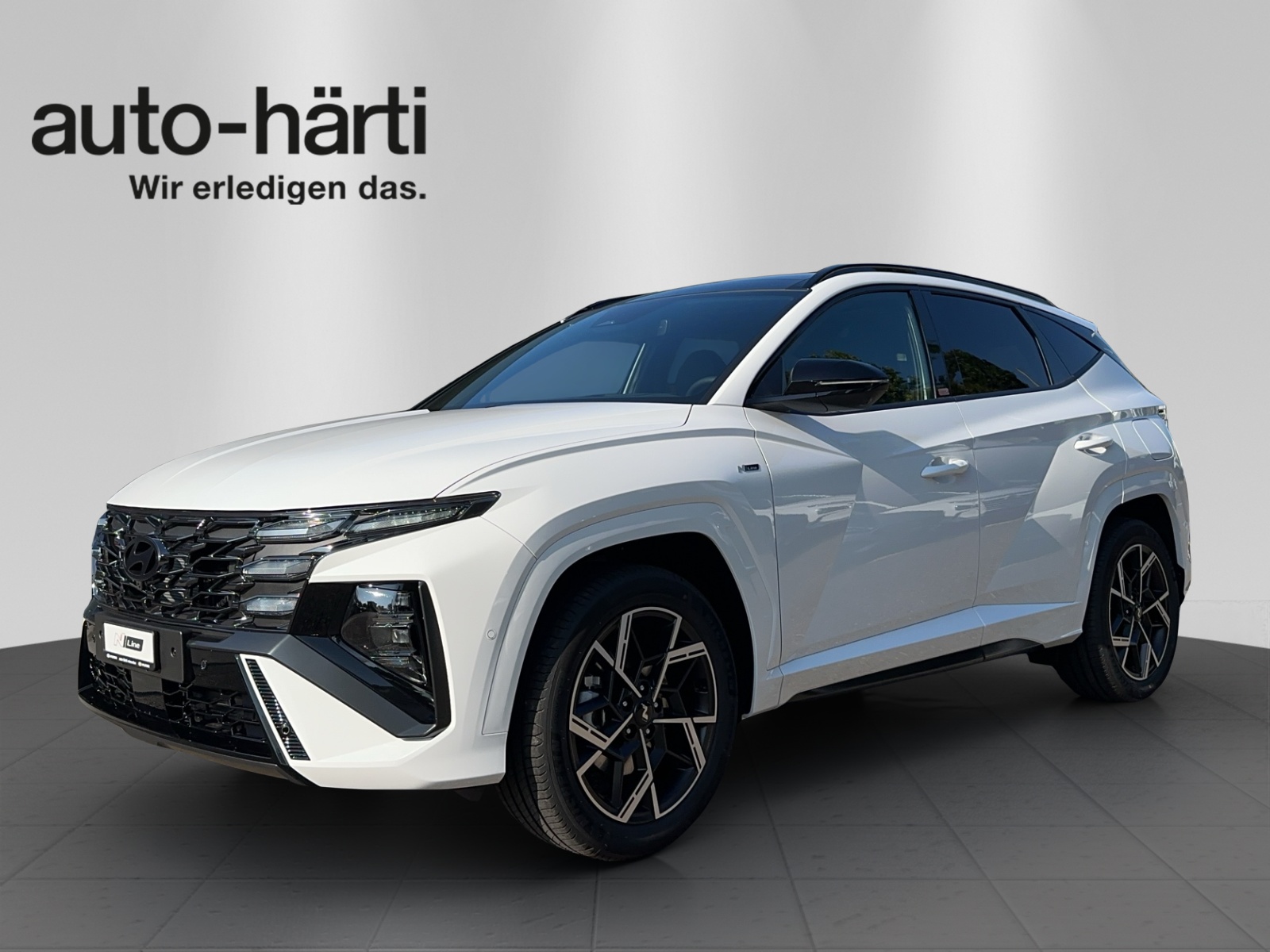 HYUNDAI Tucson 1.6 HEV N-L LUX (SUV / Gelndewagen)