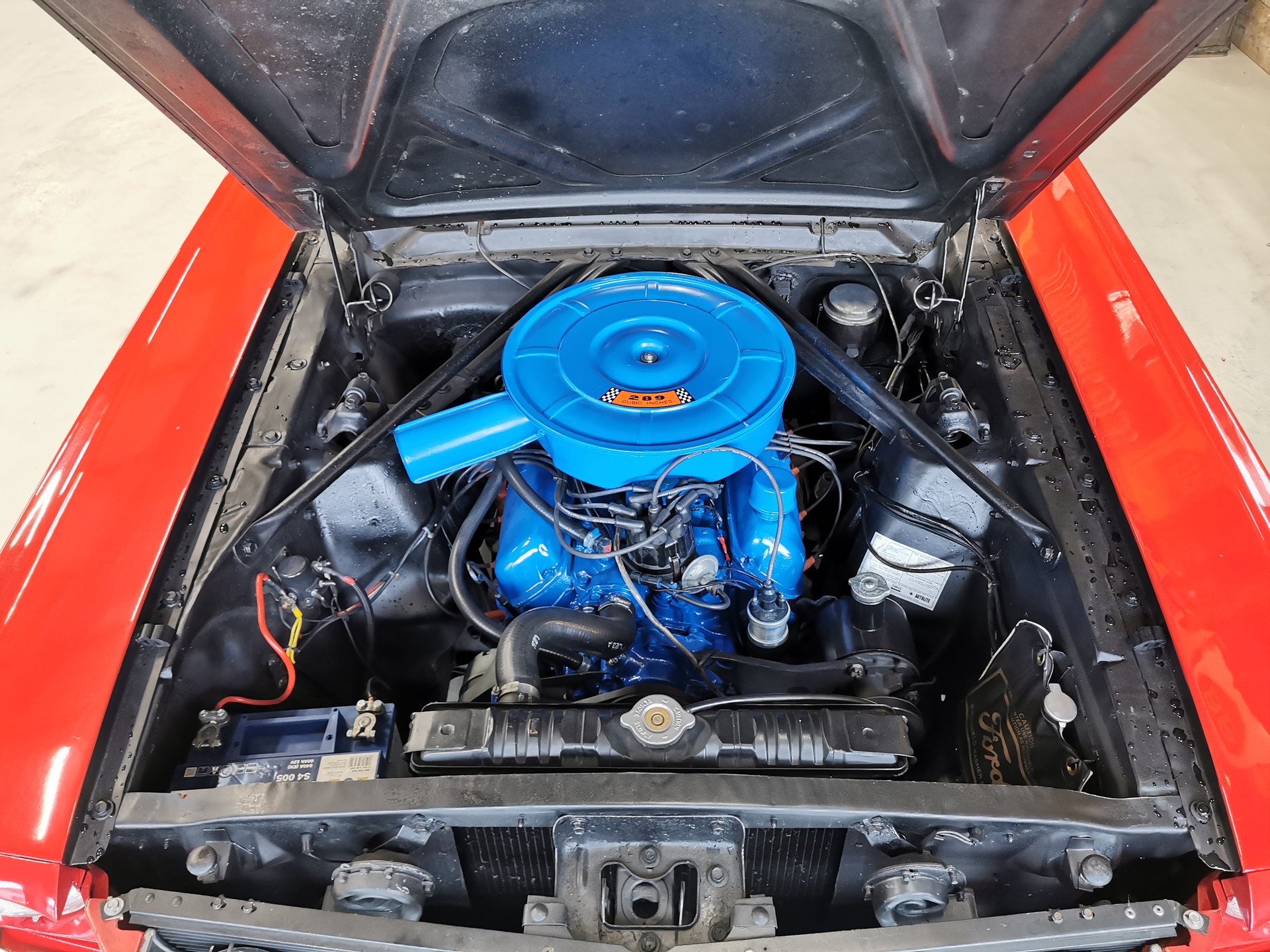 FORD MUSTANG-image-9