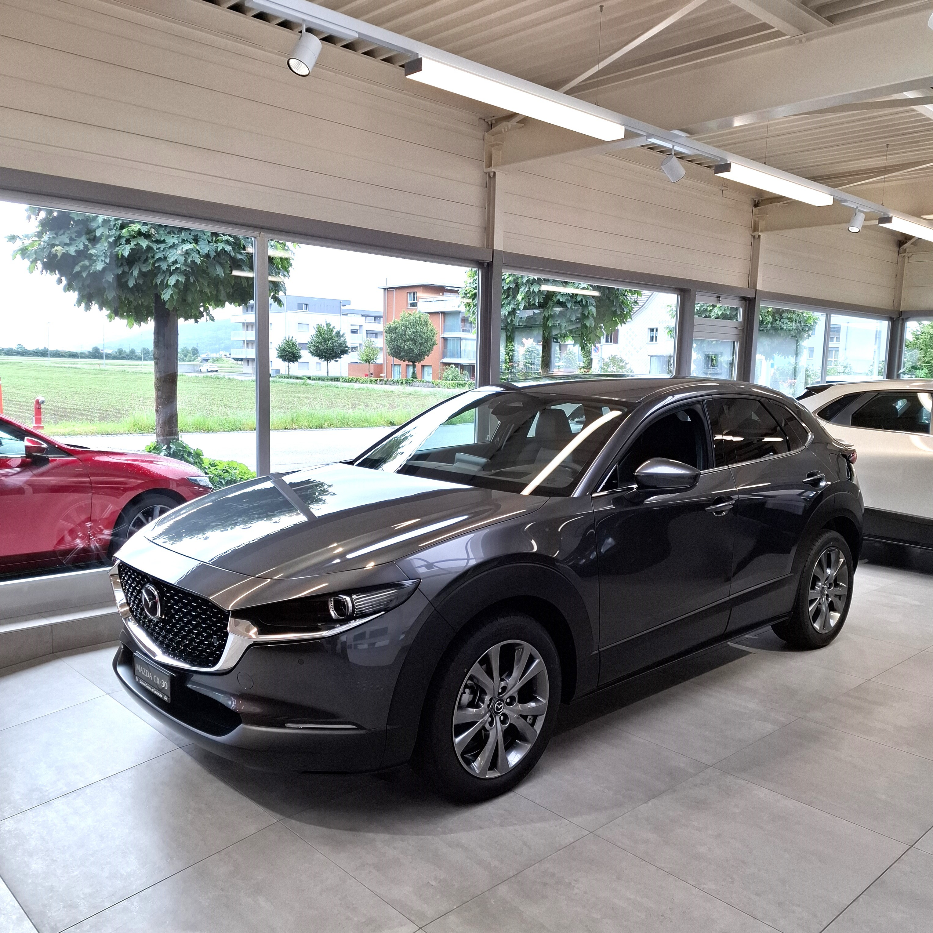 MAZDA CX-30 SKYACTIV-X (SUV / Gelndewagen)