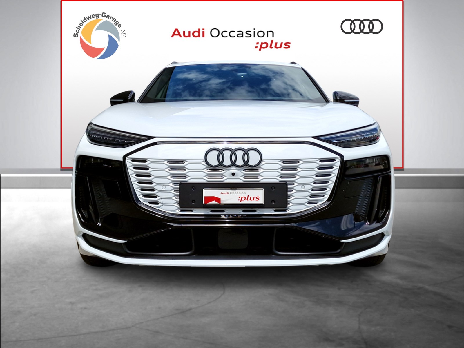 AUDI Q6 e-tron quattro-showroom-element-1