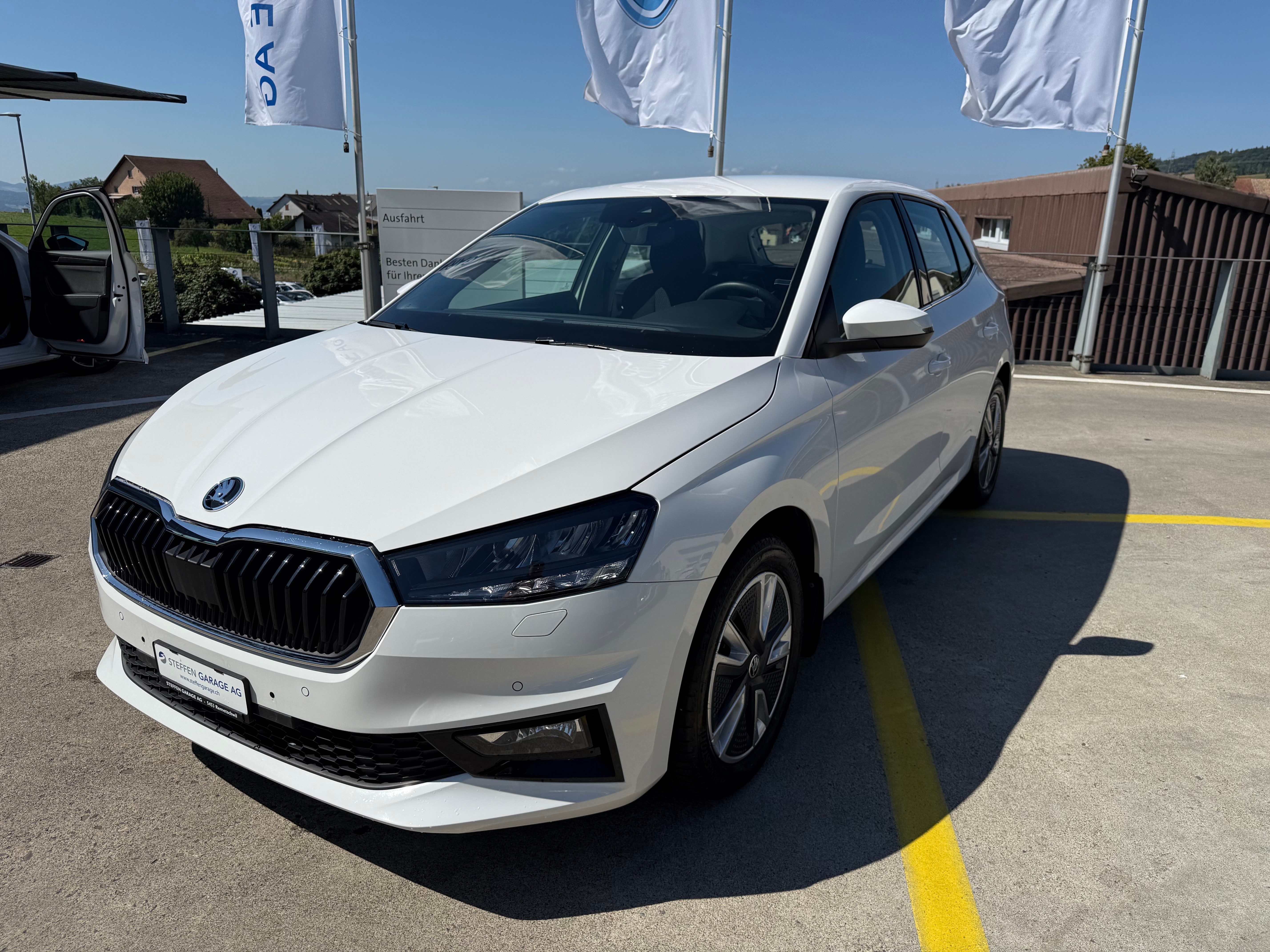 SKODA Fab. 1.0 TSI Style (Kleinwagen)
