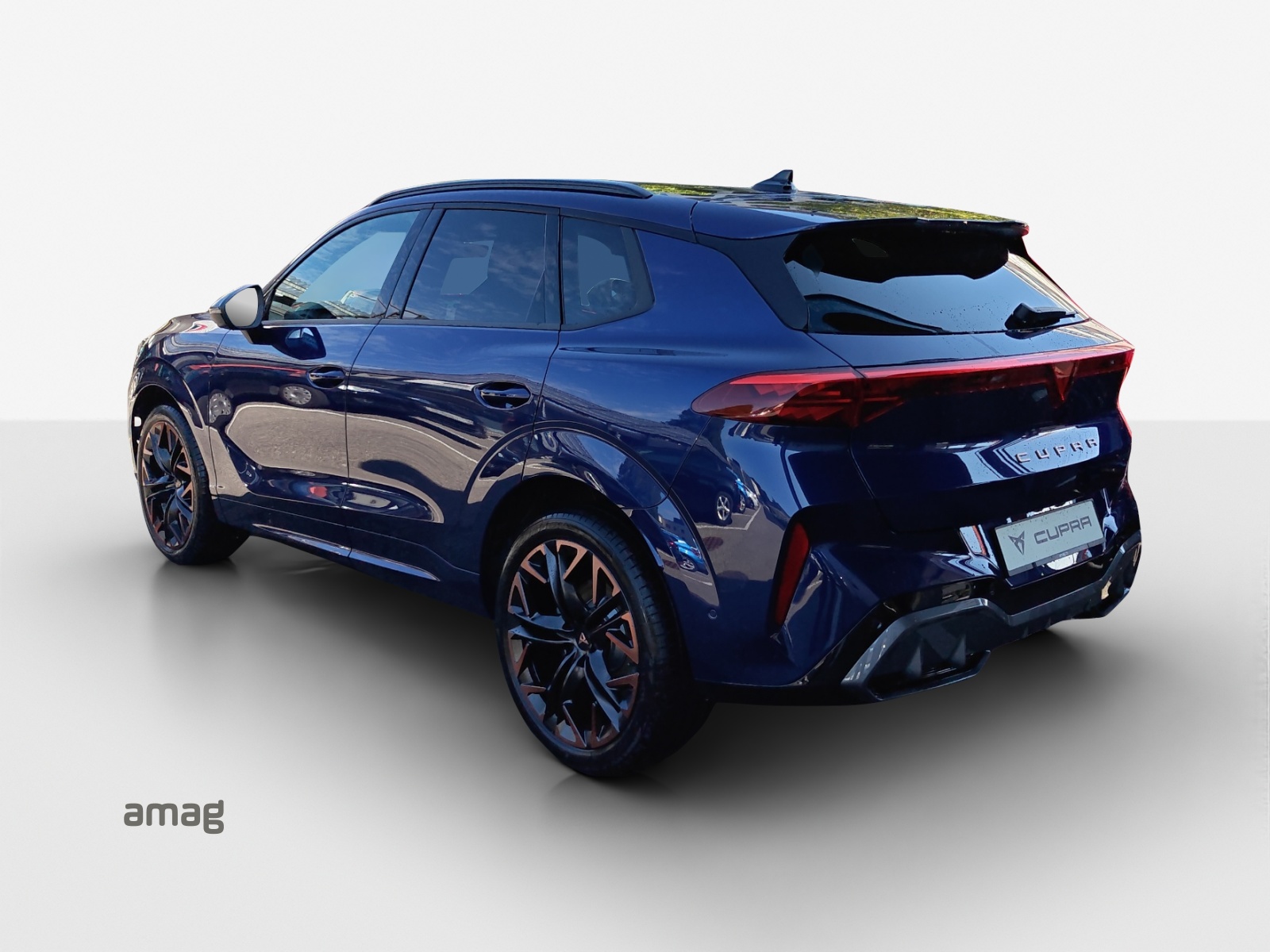 CUPRA Terramar 2.0 TSI DSG 4Drive Business Edition-showroom-element-2