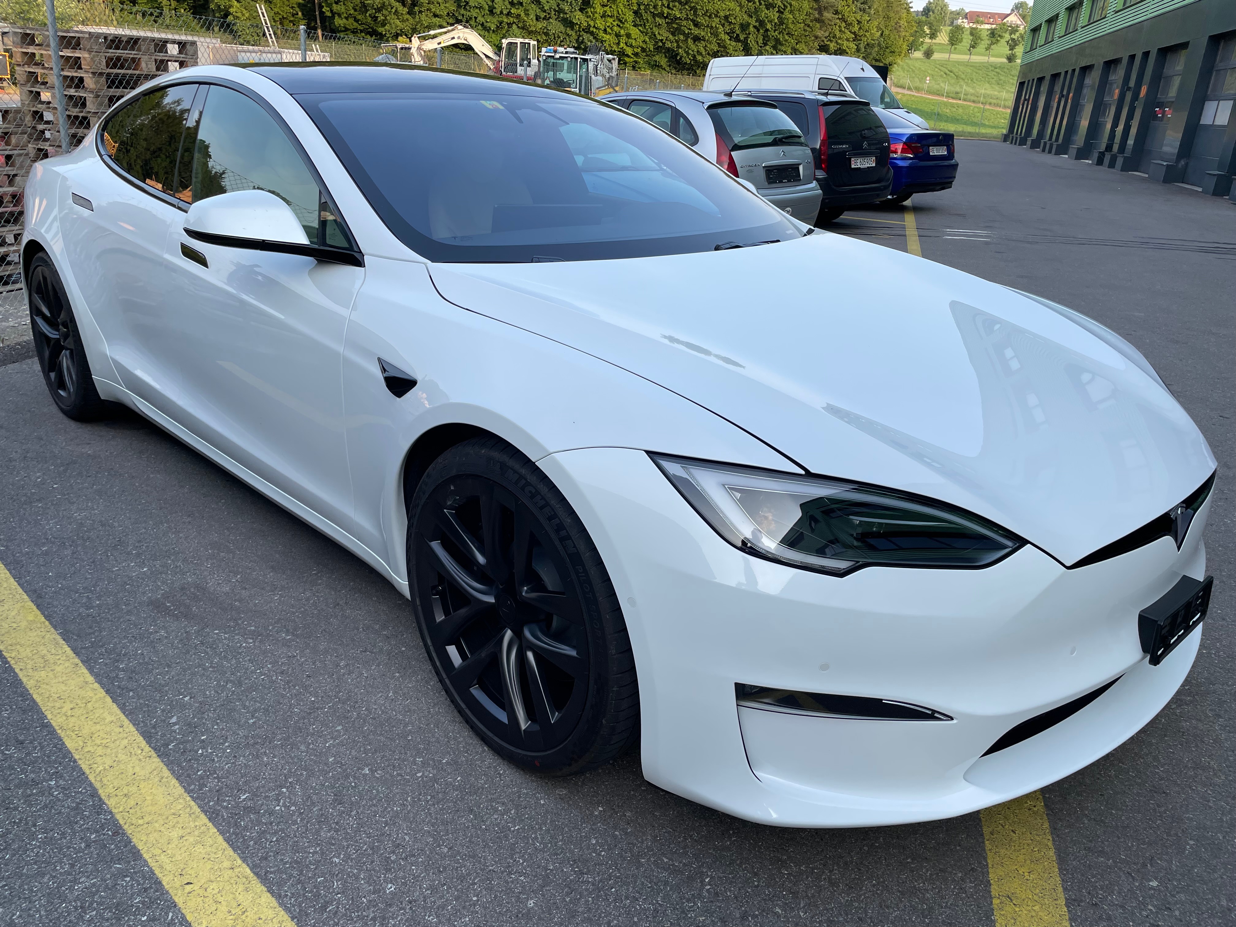 Model s palladium sales