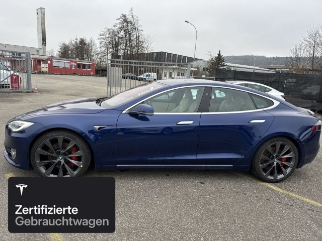 TESLA Model S Performance-showroom-element-2