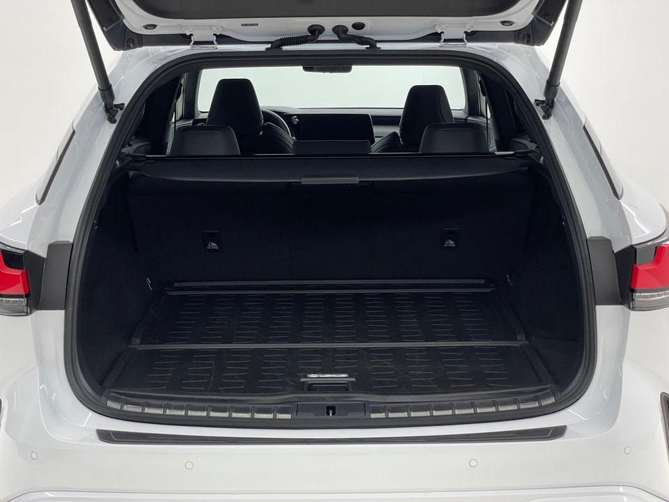 RX 500h F Sport Direct4 Performance-Voll-Hybrid
