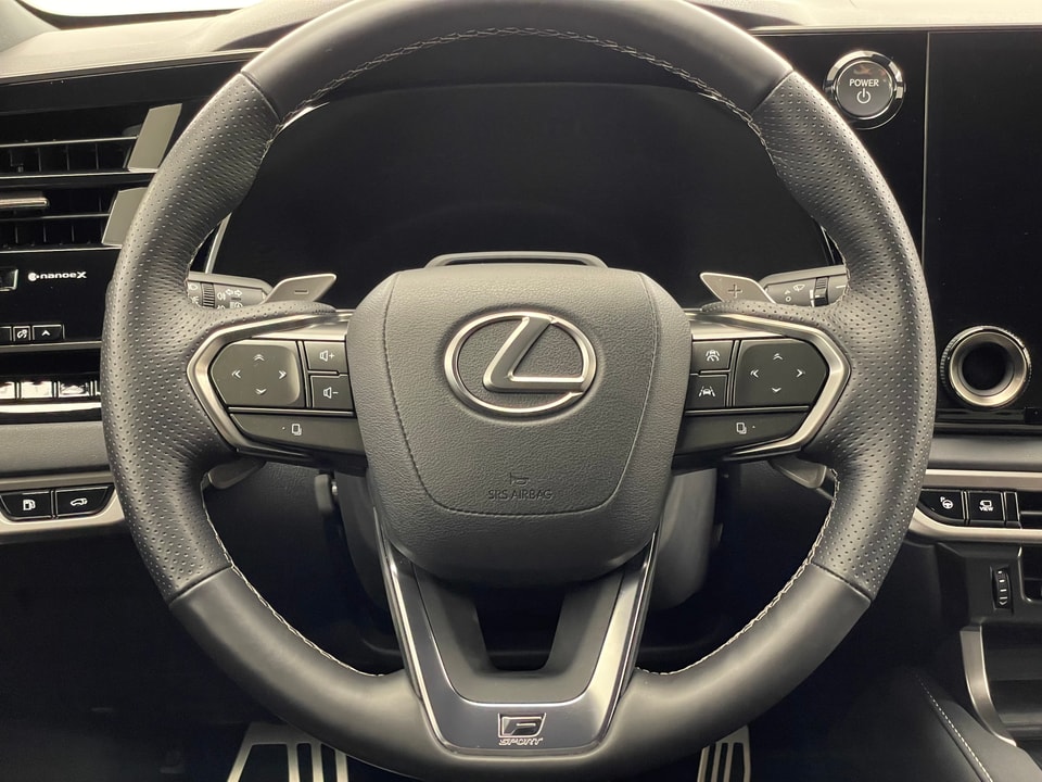 RX 500h F Sport Direct4 Performance-Voll-Hybrid