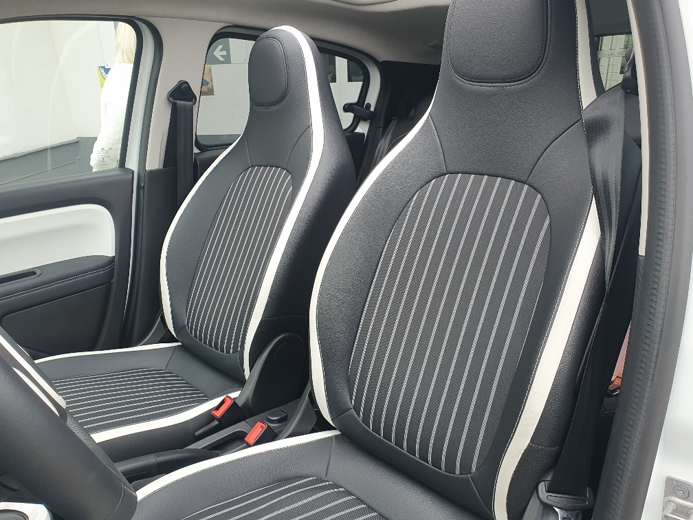 RENAULT Twingo Electric Techno Kaufen