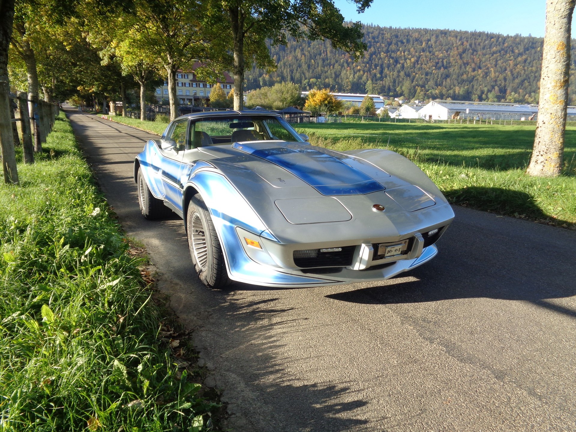 CHEVROLET CORVETTE C3 Stingray Targa-image-1