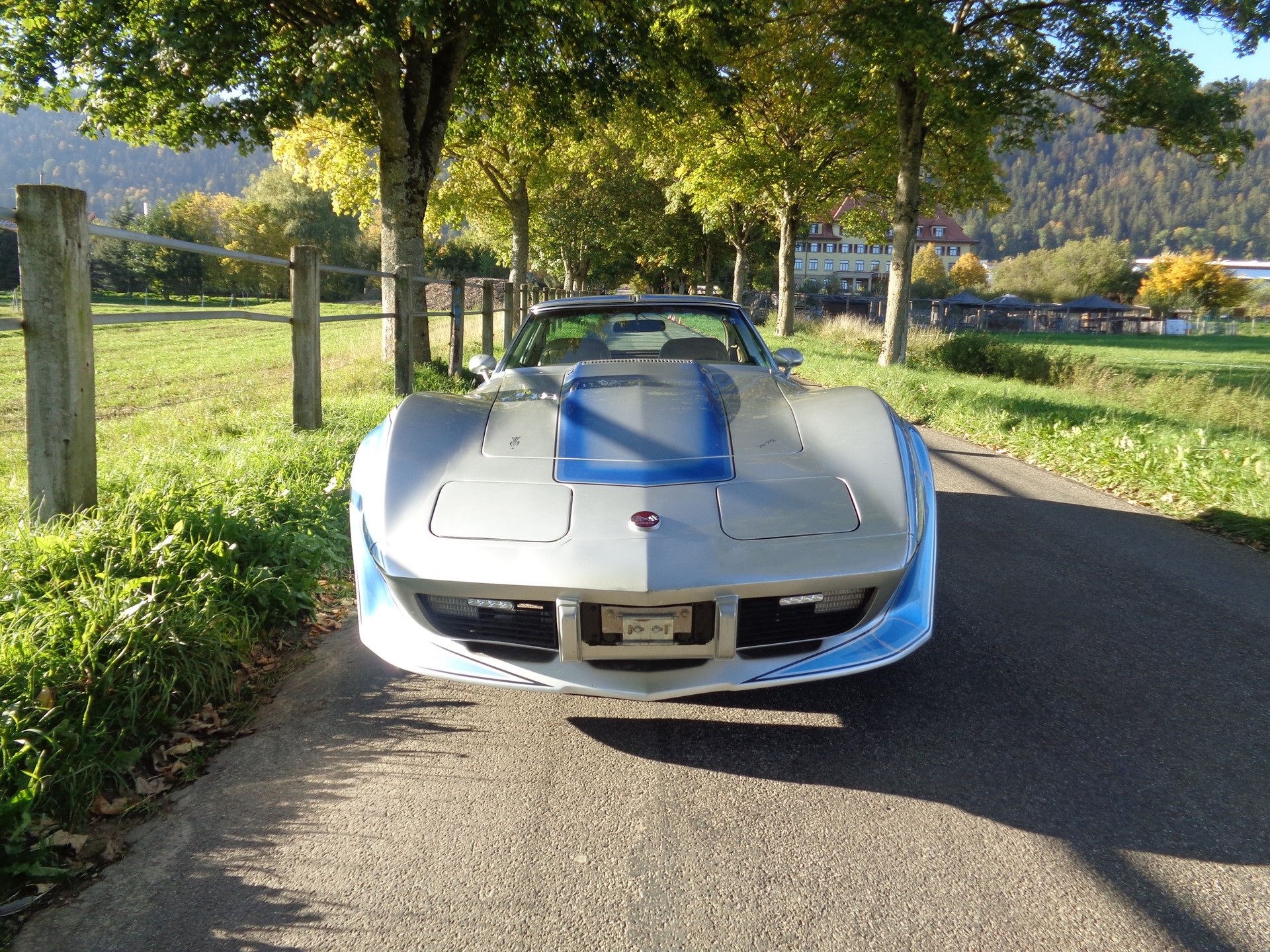 CHEVROLET CORVETTE C3 Stingray Targa-image-2