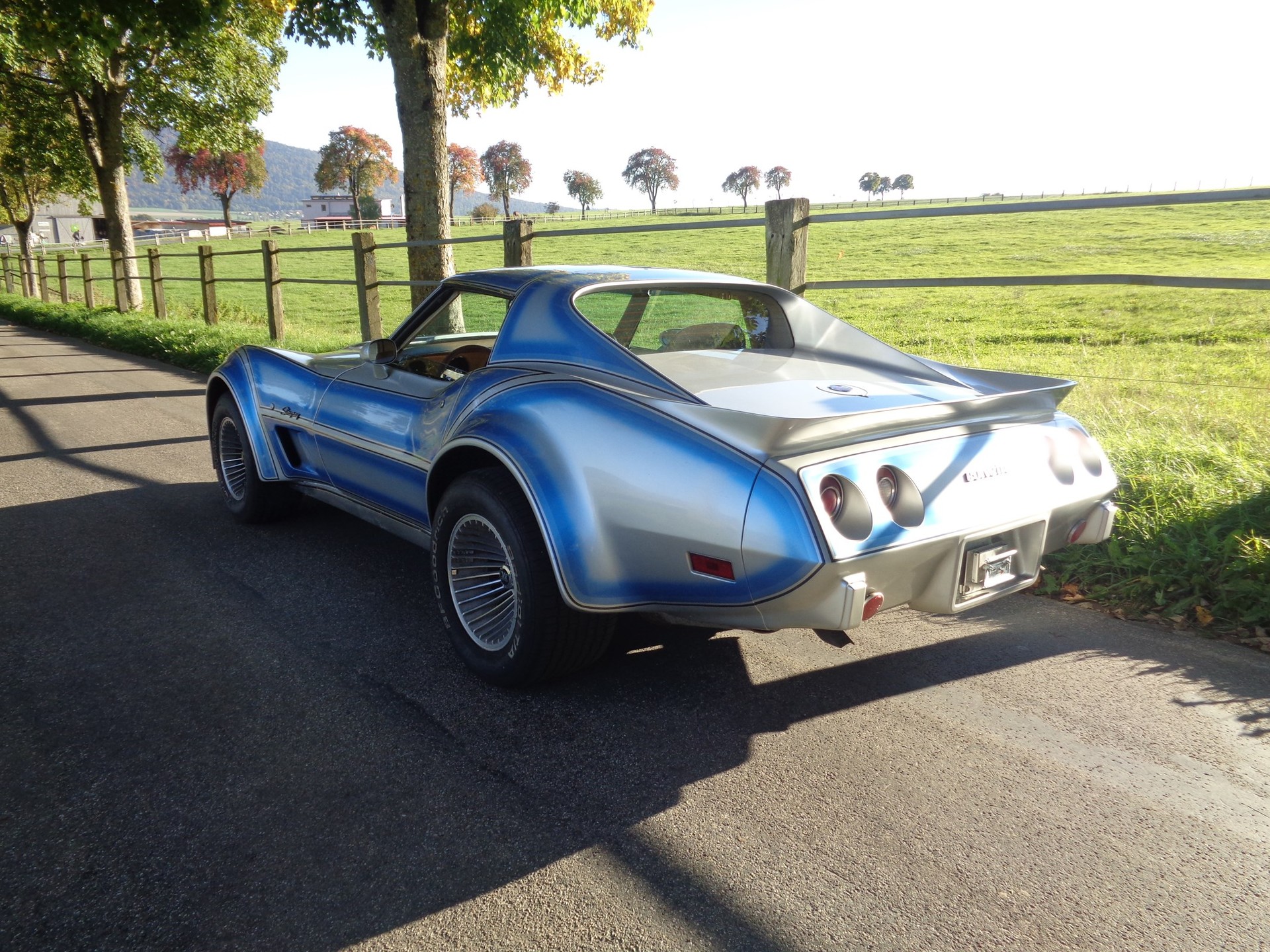 CHEVROLET CORVETTE C3 Stingray Targa-image-4