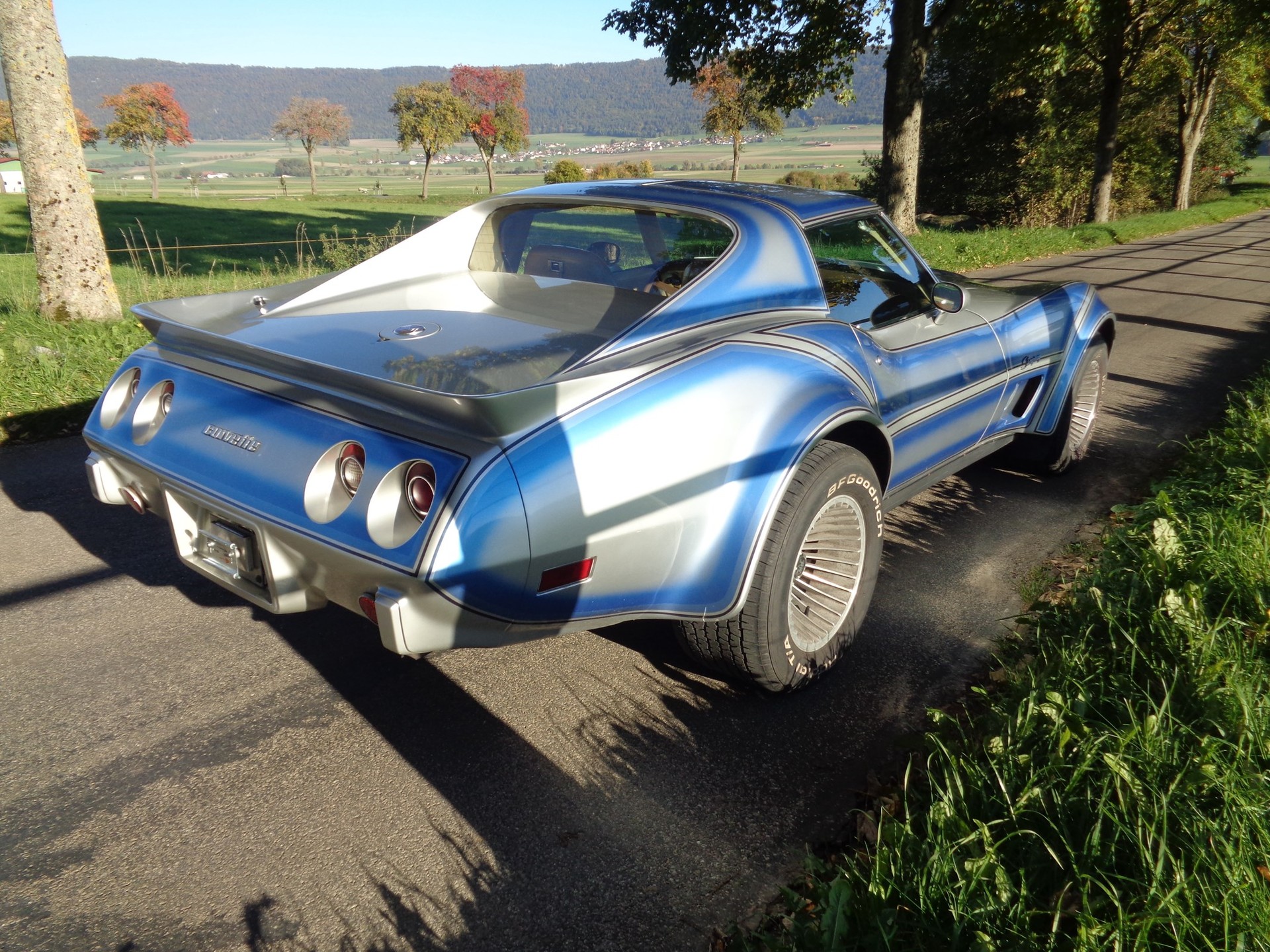 CHEVROLET CORVETTE C3 Stingray Targa-image-5