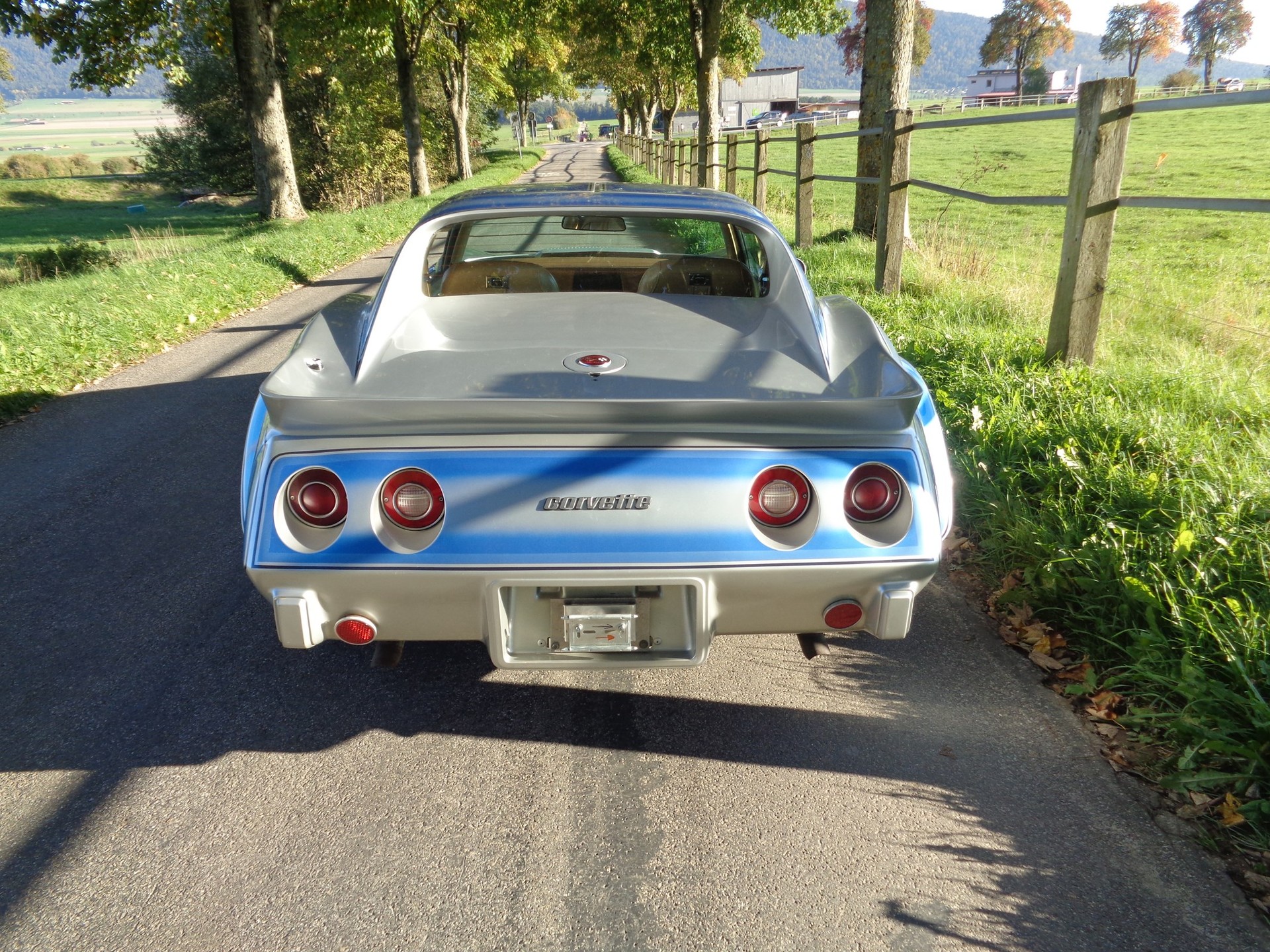 CHEVROLET CORVETTE C3 Stingray Targa-image-6