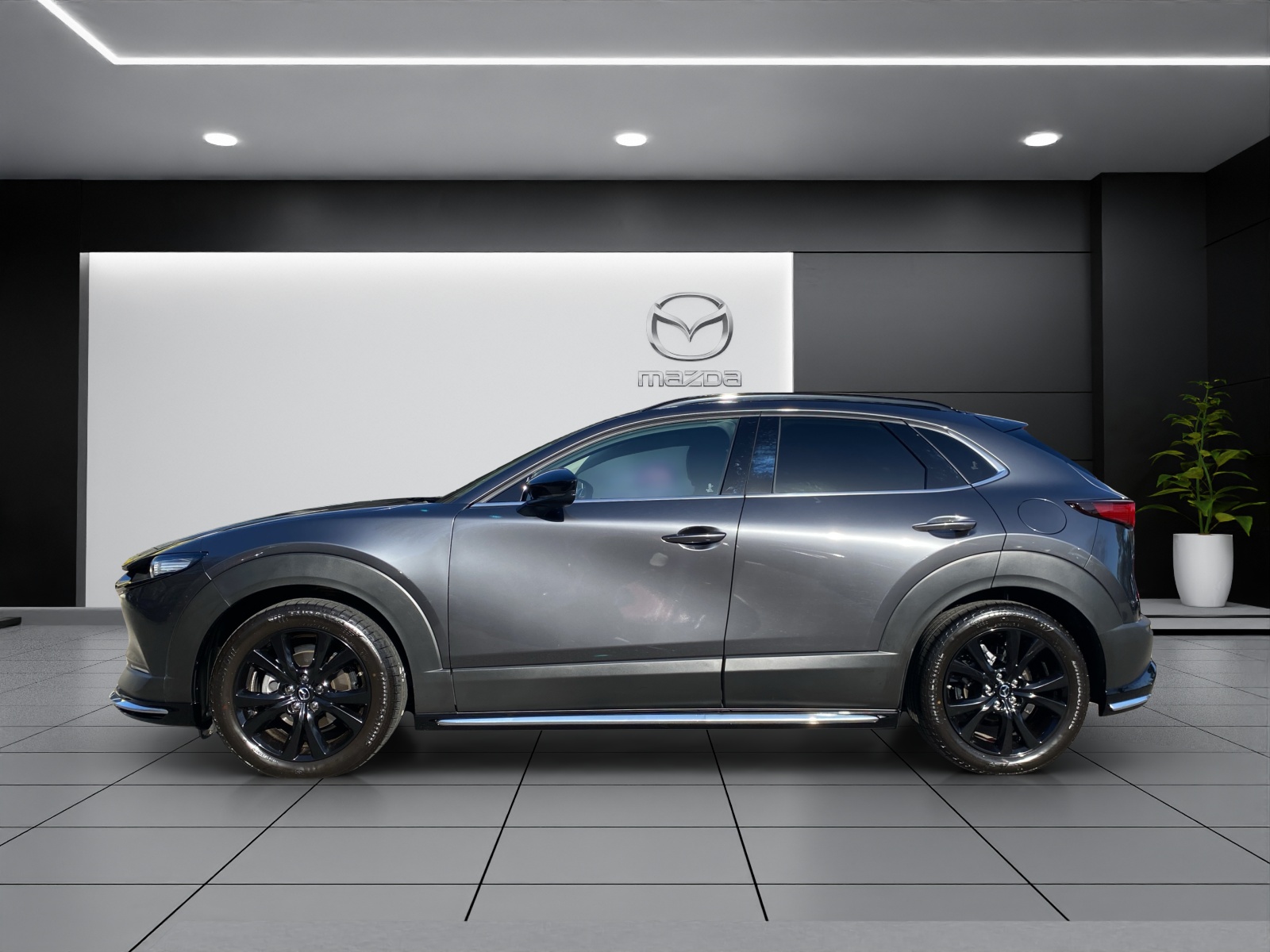 Image MAZDA CX-30 CX-30 SKYACTIV-G 140 M Hybrid Nagisa FWD AT