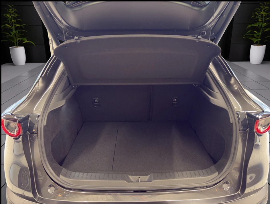 Image MAZDA CX-30 CX-30 SKYACTIV-G 140 M Hybrid Nagisa FWD AT