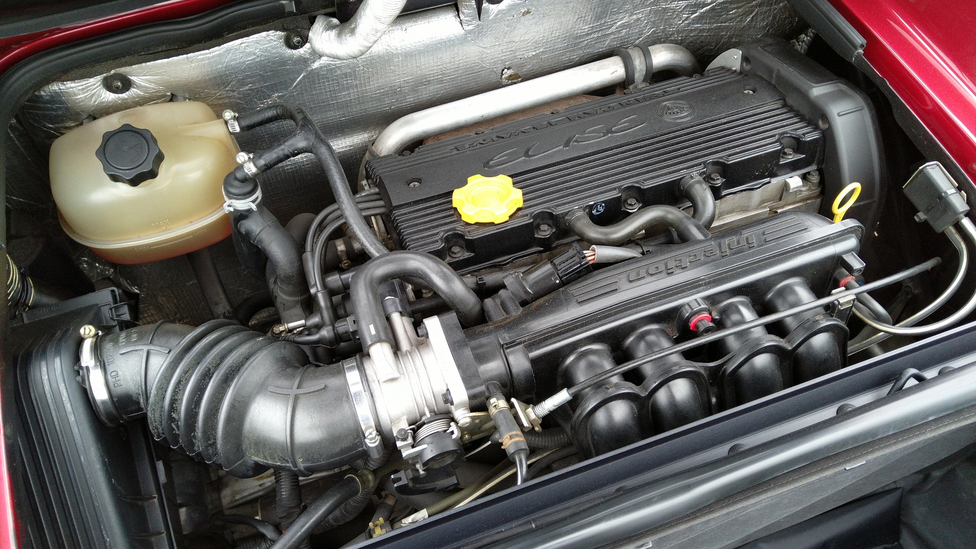 LOTUS Elise-image-5