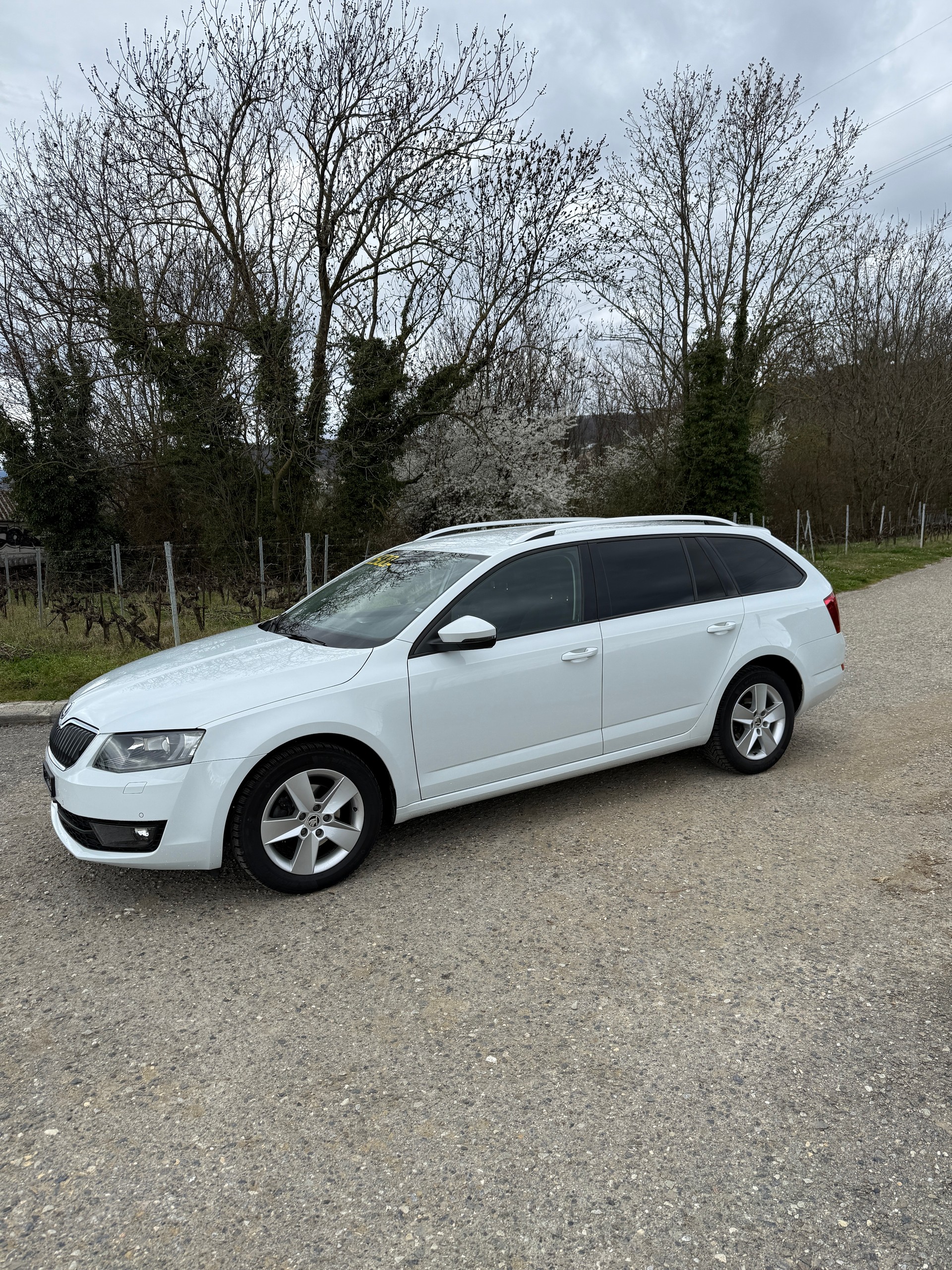 SKODA Octavia Combi 1.4 TSI G-tec Style CNG