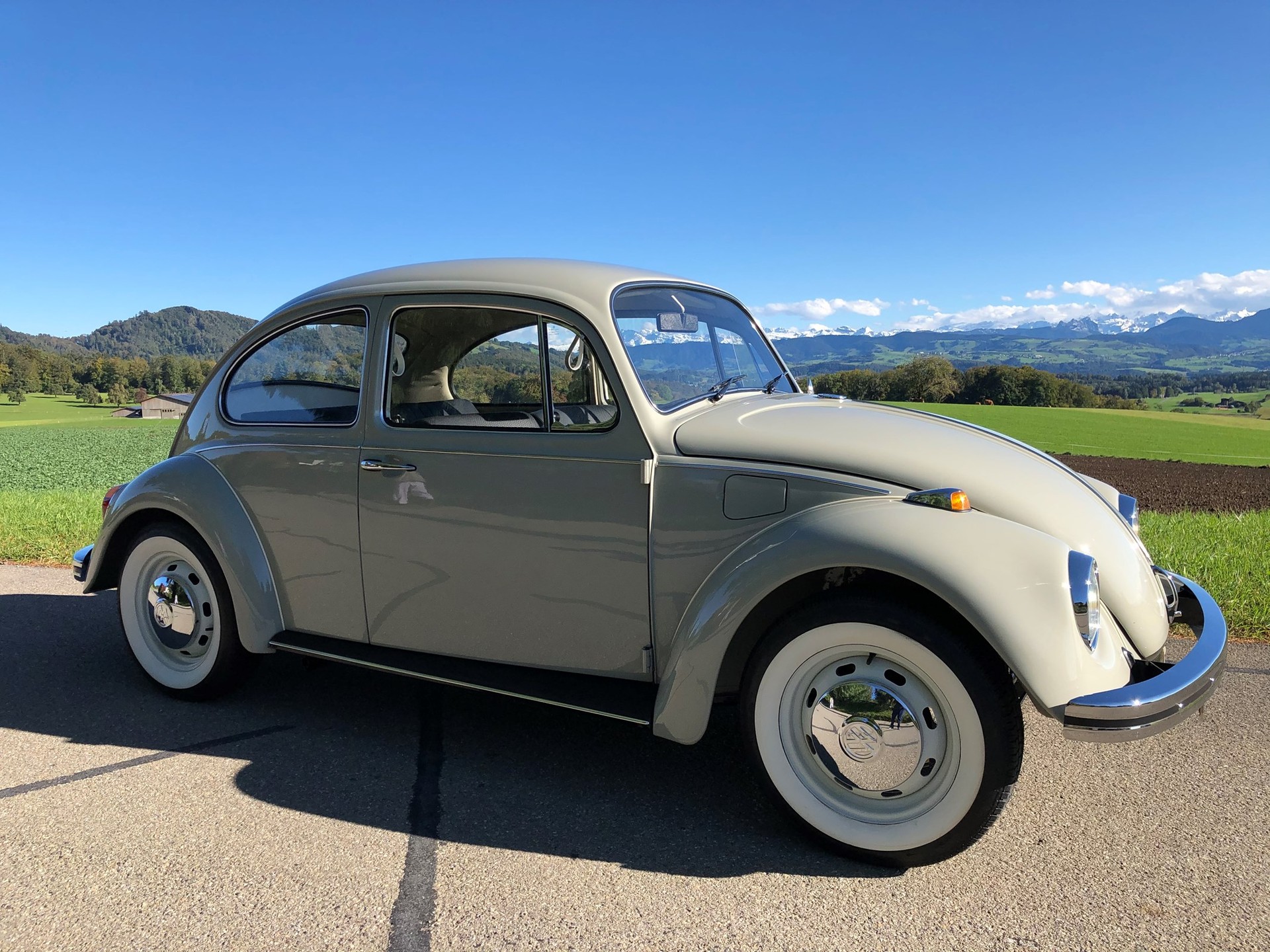 VW Käfer - Occasionen kaufen