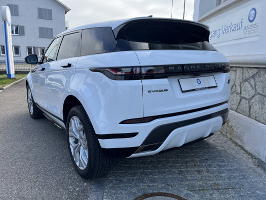 LAND ROVER Evoque R-Dyn. P 200 SE-showroom-element-2