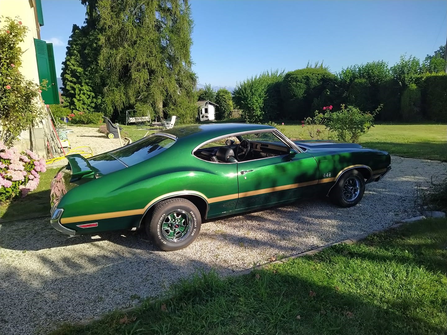 OLDSMOBILE 442 Kaufen