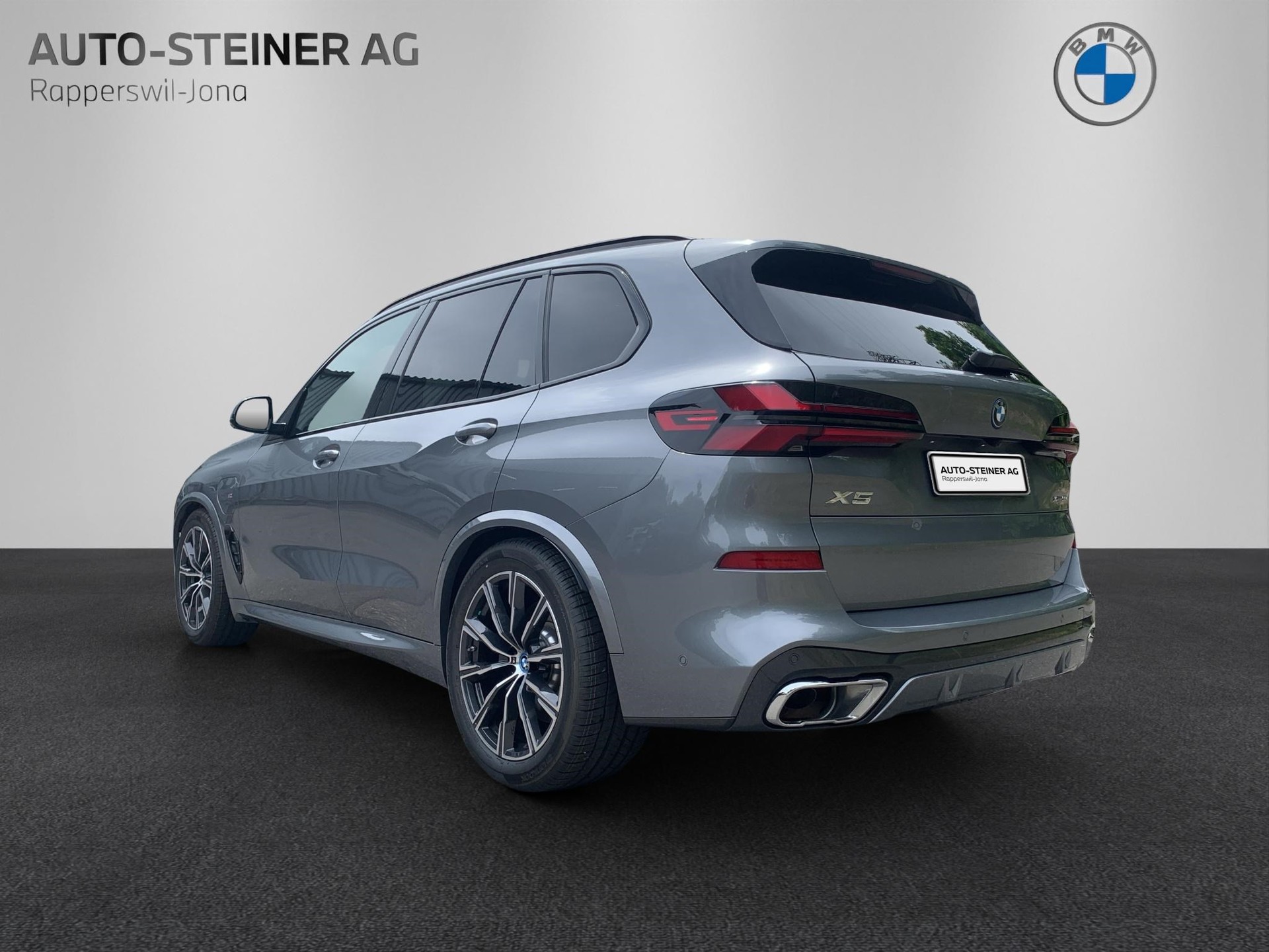 BMW X5 xDrive 50e M Sport Steptronic-showroom-element-2