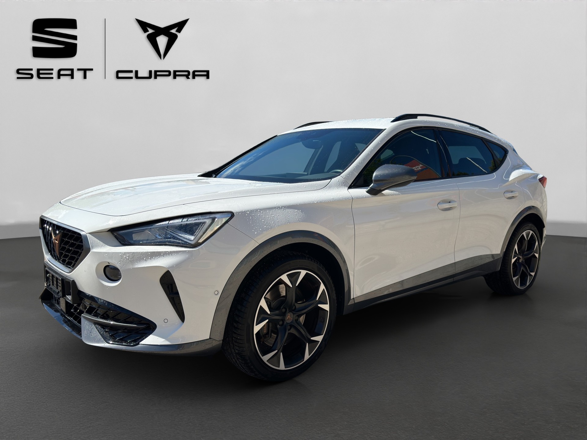 CUPRA Formentor 2.0TSI 245 cv VZ DSG