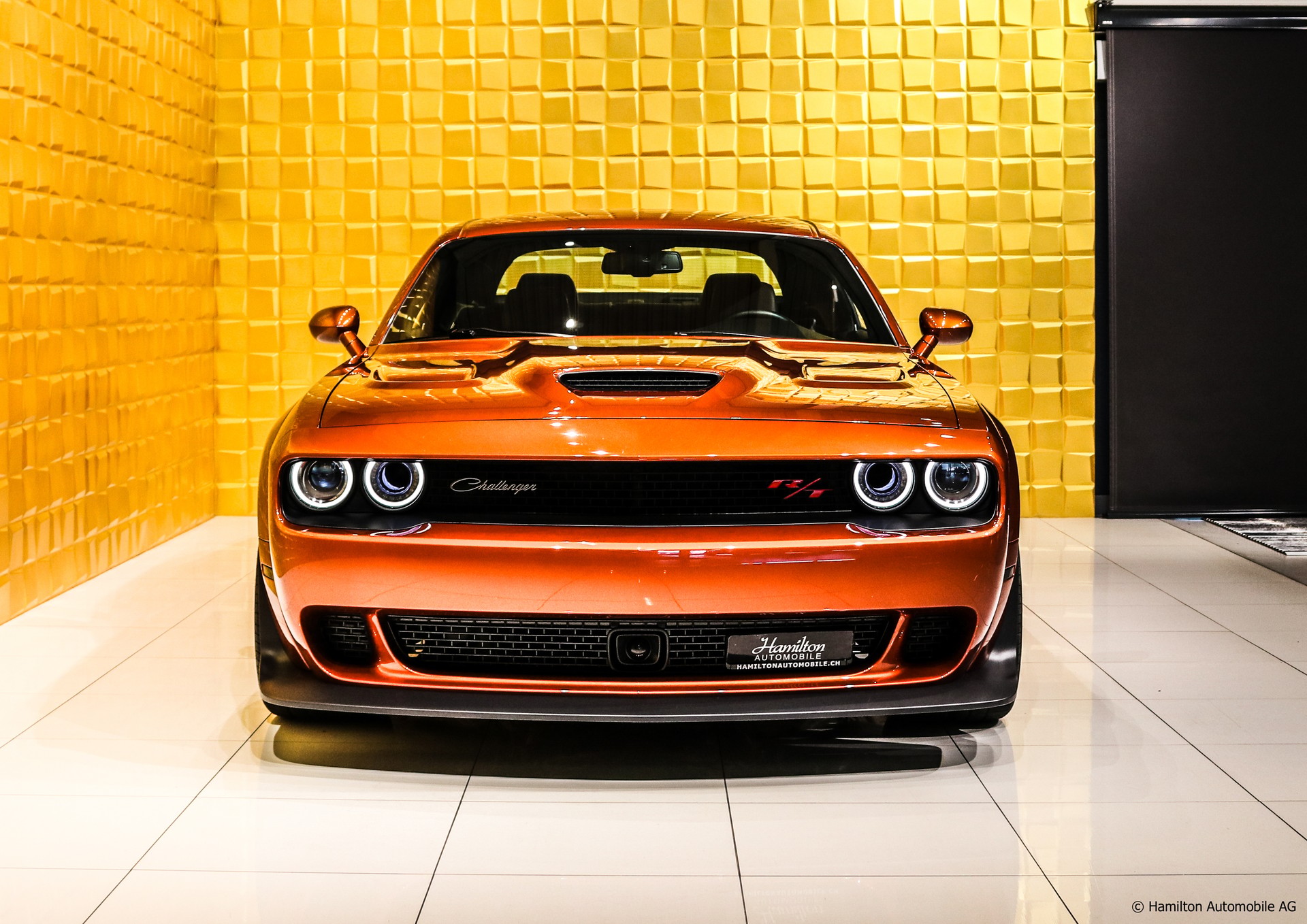 DODGE Challenger R/T 6.4L V8 Scat Pack Widebody CINNAMON STICK-image-2
