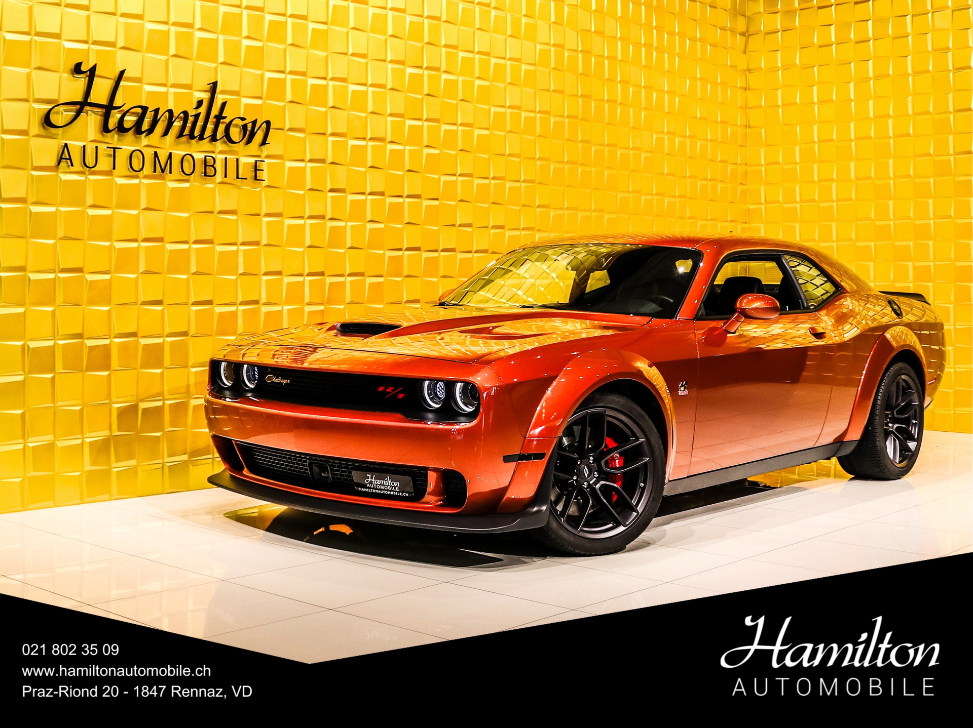 DODGE Challenger R/T 6.4L V8 Scat Pack Widebody CINNAMON STICK-image-0