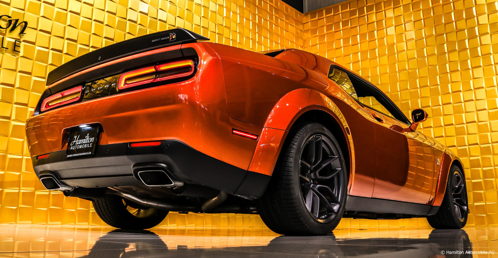 DODGE Challenger R/T 6.4L V8 Scat Pack Widebody CINNAMON STICK-image-6