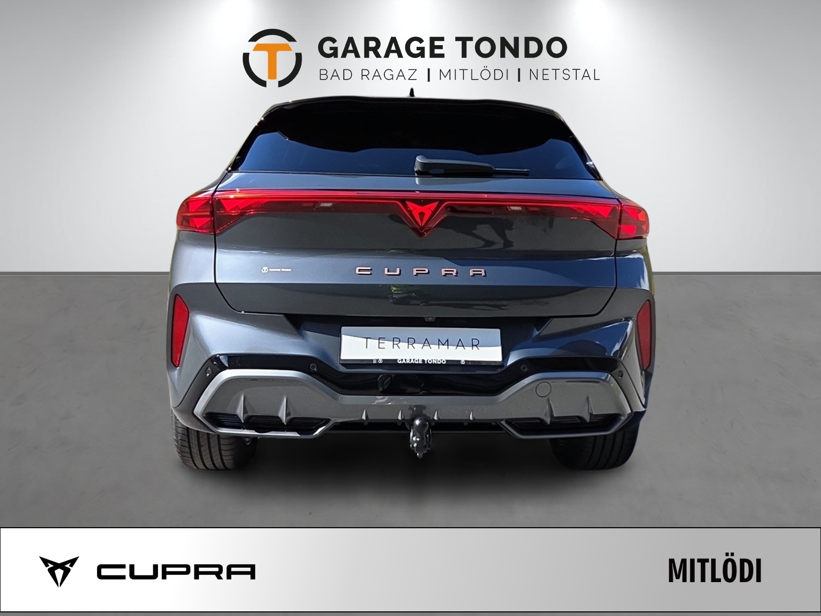 CUPRA Terramar 2.0 TSI Prime Edition 4Drive DSG-image-4