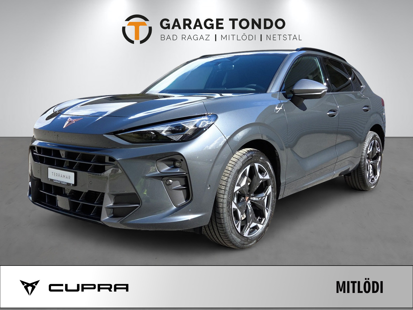 CUPRA Terramar 2.0 TSI Prime Edition 4Drive DSG-image-0