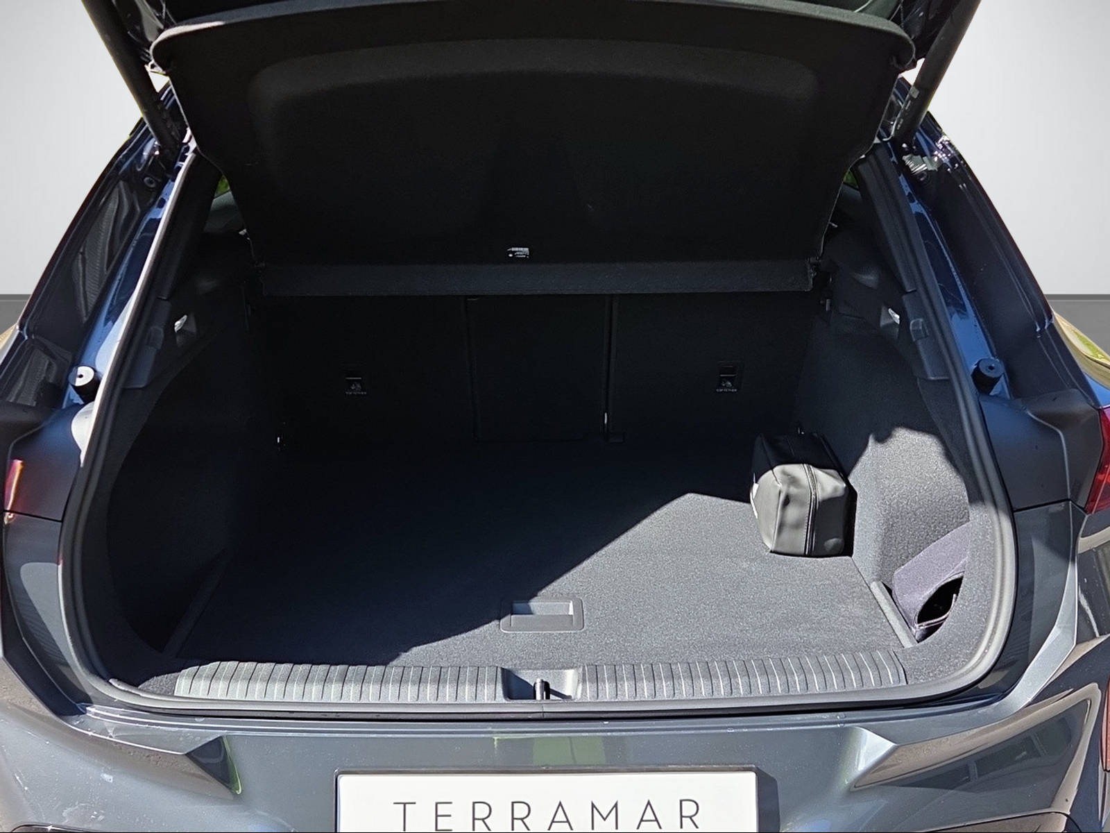 CUPRA Terramar 2.0 TSI Prime Edition 4Drive DSG-image-6