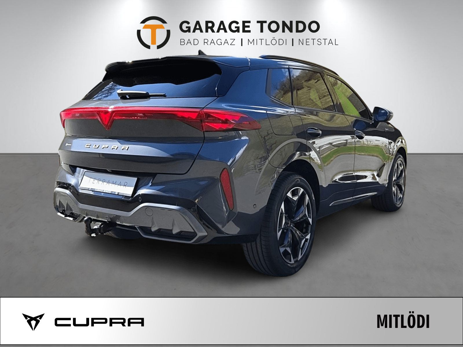 CUPRA Terramar 2.0 TSI Prime Edition 4Drive DSG-image-5